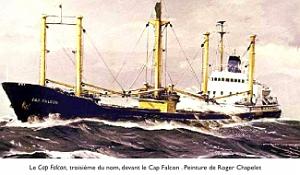 CAP FALCON 03